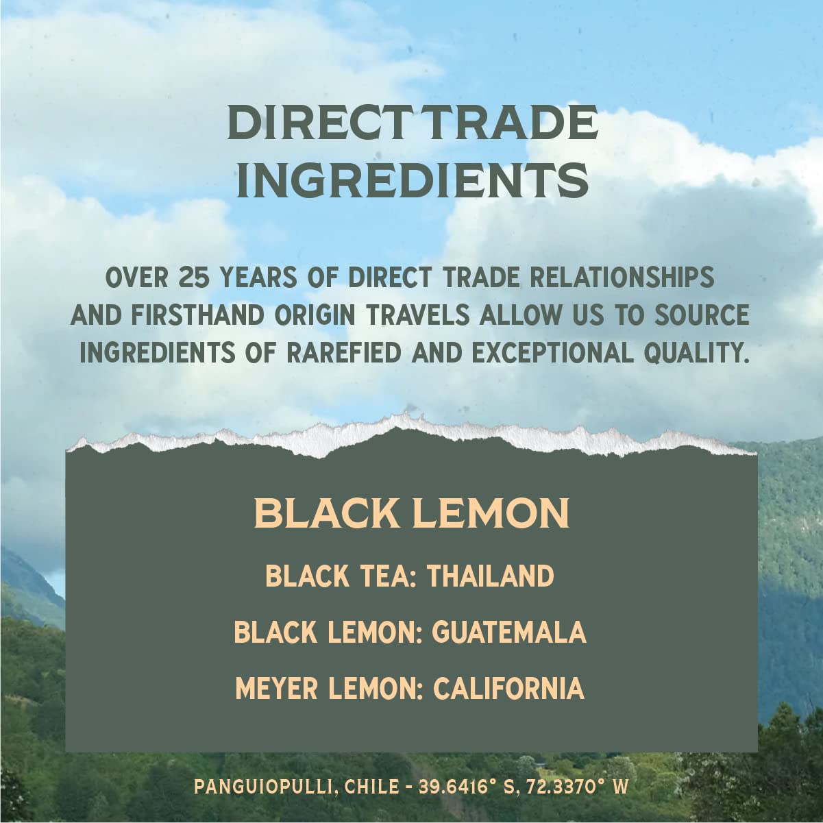 Rishi Sparkling Botanicals Black Lemon Tea, 12 x 12 fl oz