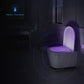 CLEAN BOWL UV Sanitizing Light For Germ Free Toilets With LED Motion Light by VistaShops