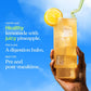 Sunwink Digestion Lemonade Powder Mix - 4.2 Oz