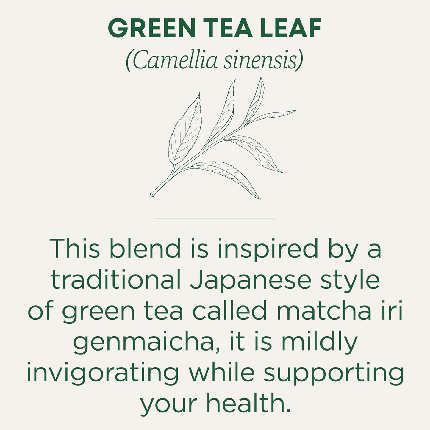 Traditional Medicinals Matcha Infused Green Tea with Jasmine Rice, Case of 6, 16 Bags Each, Organic & Sustainably Sourced