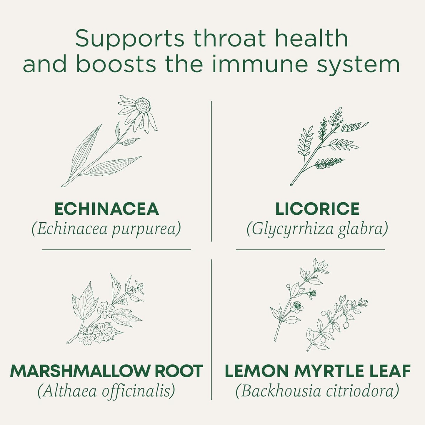Traditional Medicinals Organic Lemon Echinacea Throat Coat Tea, 16 Bags, Case of 6 – Immune Support, Sore Throat Relief