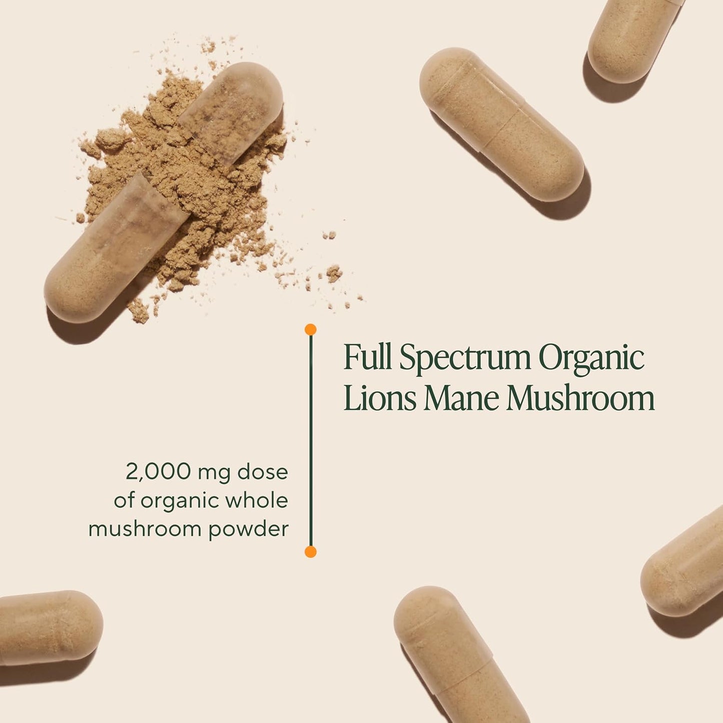 Om Mushroom Superfood Lion's Mane Mushroom Capsules, 90 Count