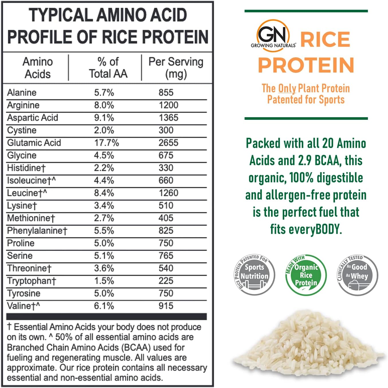 Growing Naturals Organic Raw Rice Protein - Vanilla Blast - 16.4 oz