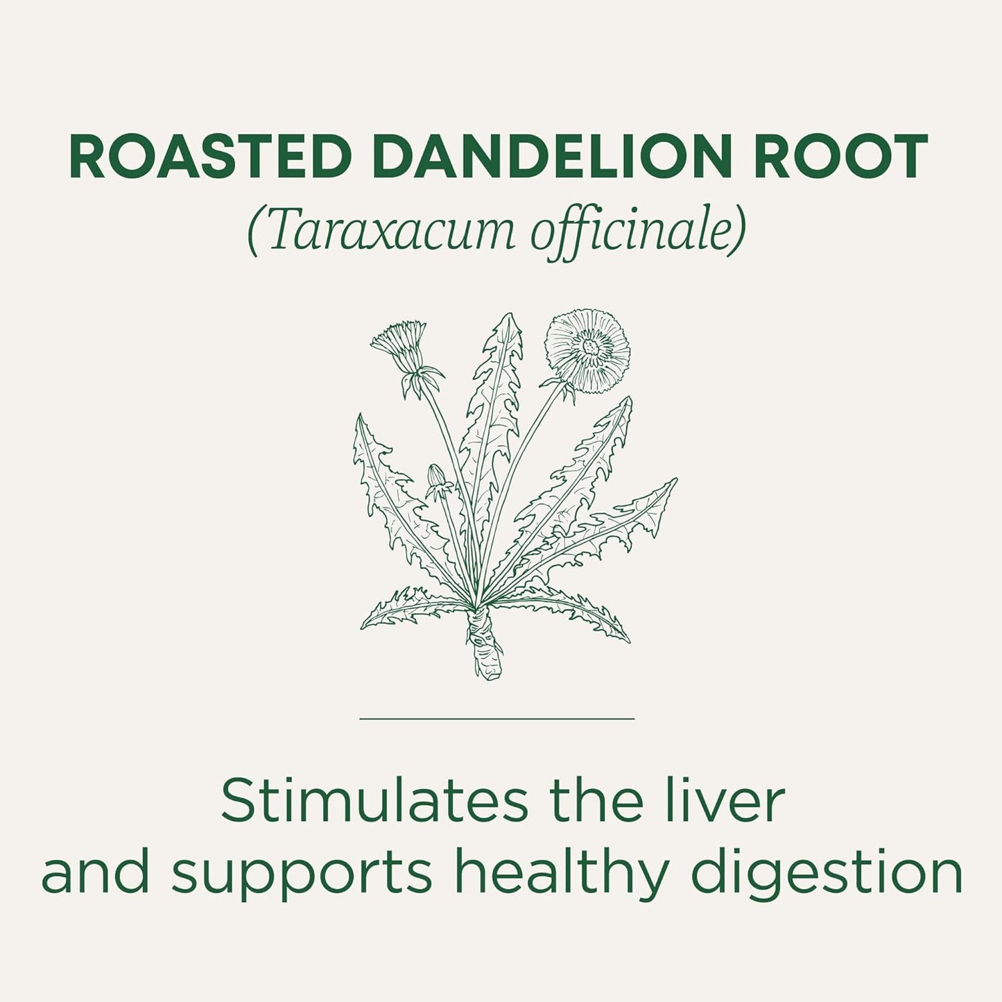 Traditional Medicinals Organic Roasted Dandelion Root Herbal Tea, 16 Tea Bags, Case of 6