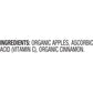 Santa Cruz Organic Cinnamon Apple Sauce (12-Pack, 4 Oz. Each)