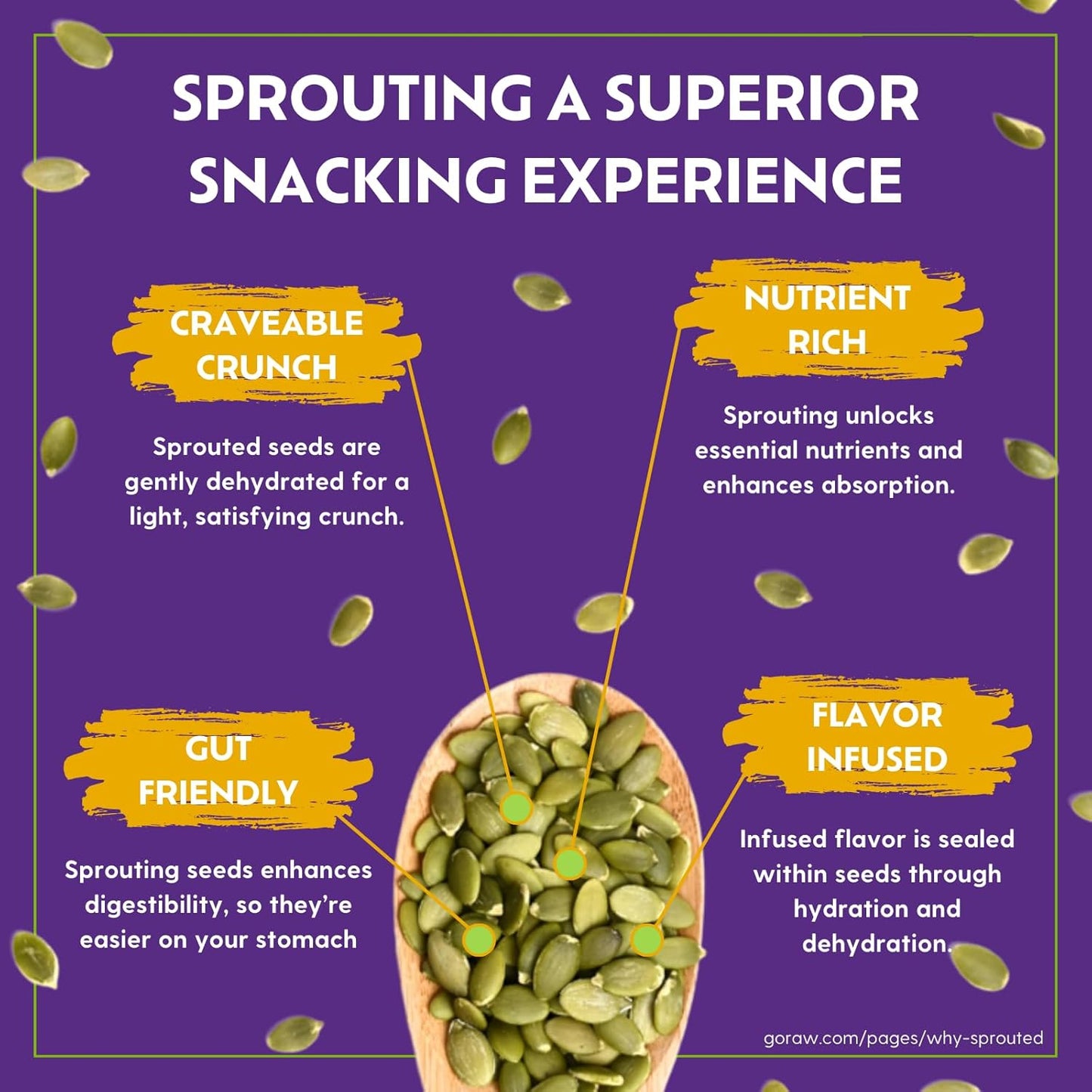 Go Raw Everything Bagel Sprouted Seeds Snack, 6 Bags of 4 oz Each