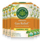 Traditional Medicinals Organic Gas Relief Tea, 16 Bags, Case of 6