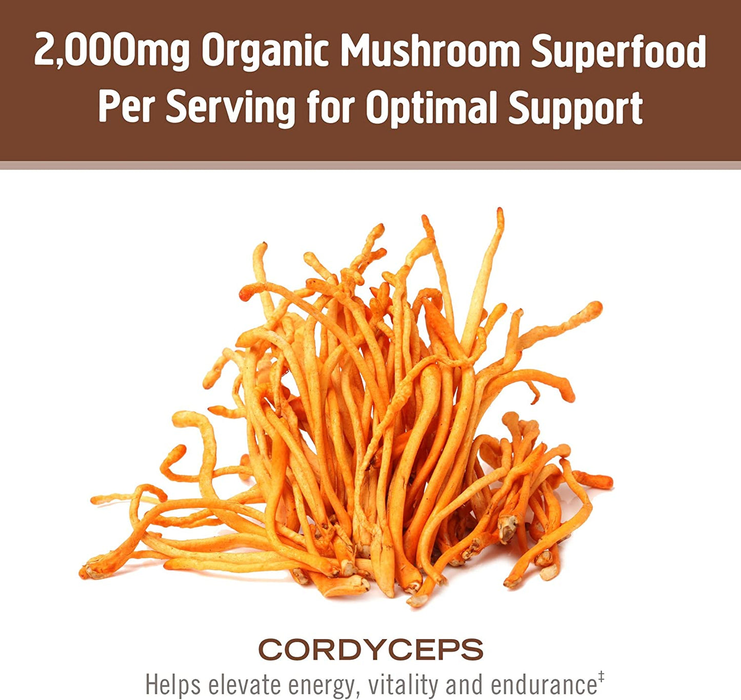 Om Mushroom Sup. Cordyceps Organic Mushroom Powder, 7.05 Oz.