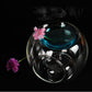 High borosilicate glass scented lamp glass