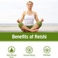 Om Mushroom Superfood Reishi Organic Mushroom Powder, 3.5 Ounce