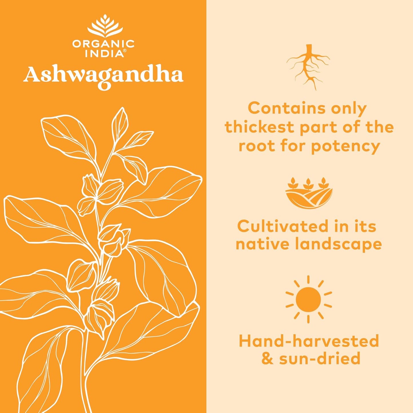 Organic India Ashwagandha Capsules, 180 Count – USDA Organic, Stress Relief, Energy Support, Adaptogen Supplement