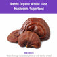 Om Mushroom Superfood Sleep Mushroom Capsules, 90-Count Sleep Support Supplement