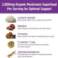 Om Mushroom Superfood Hot Chocolate Blend | Single Serve | 10 Count | Lion's Mane, Reishi, Chaga, Turkey Tail