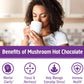 Om Mushroom Superfood Hot Chocolate Blend | Single Serve | 10 Count | Lion's Mane, Reishi, Chaga, Turkey Tail