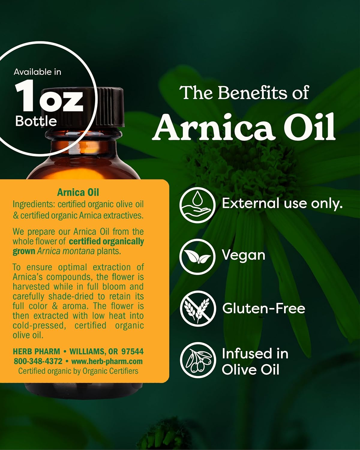 Herb Pharm Arnica Tincture - Anti-Inflammatory Support - 1 Fl Oz