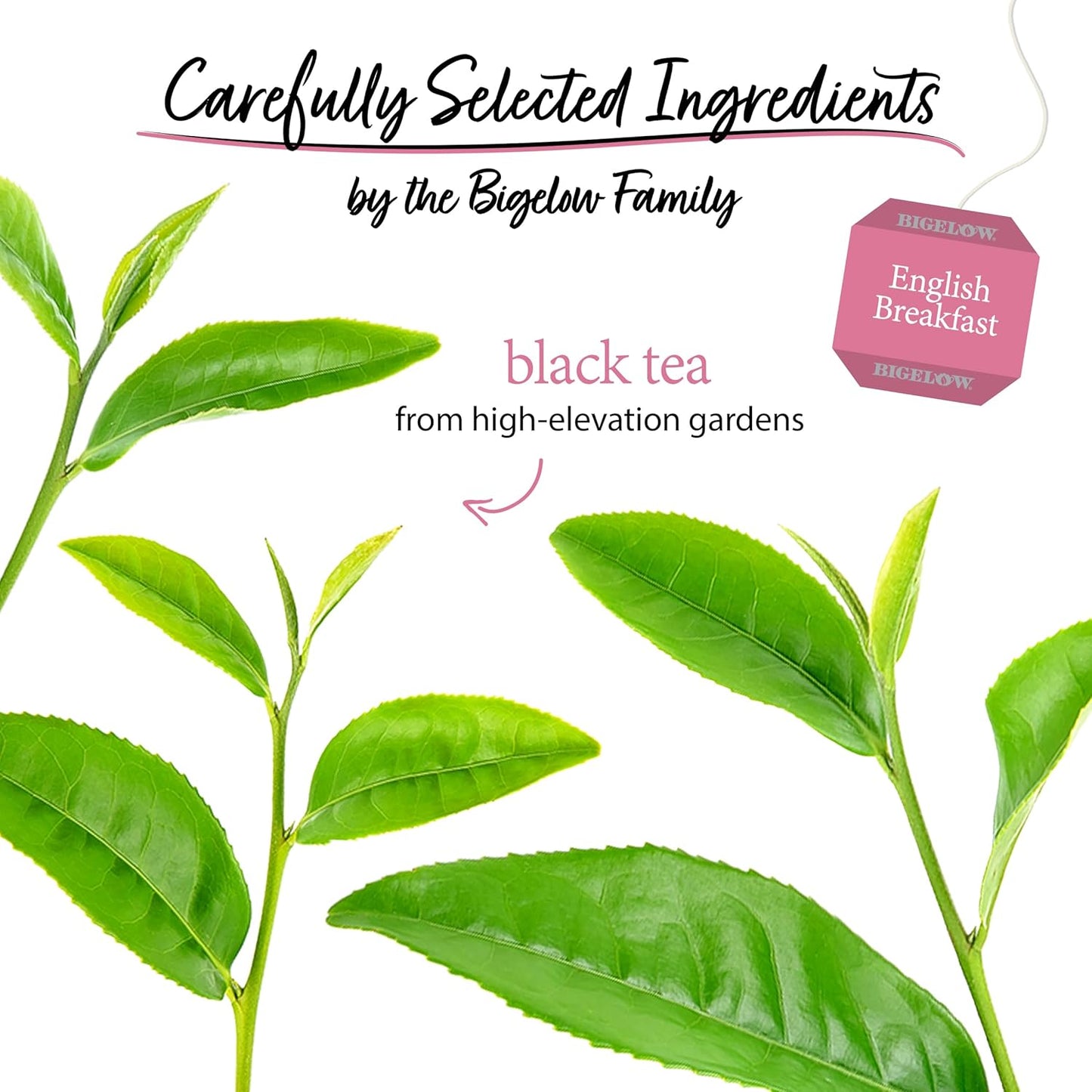 Bigelow English Breakfast Black Tea, Case of 6, 20 Tea Bags Each.