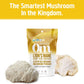 Om Mushroom Superfood Lion's Mane Organic Mushroom Powder 3.5 Oz