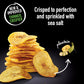 Terra Plantains Chips - Sea Salt - 12 x 5 oz