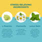 Hyland's Stress Buster Gummies: Relief from Stress & Anxiety (60 Chewables)