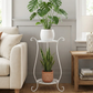 Two-Tier Metal Plant Stand – Double Layer Iron Flower Rack for Indoor & Outdoor Plants