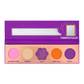 Blooming Hues 5 shade palette
