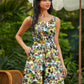 Farm Skater Dress