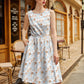 Hot Air Balloon Vintage Dress