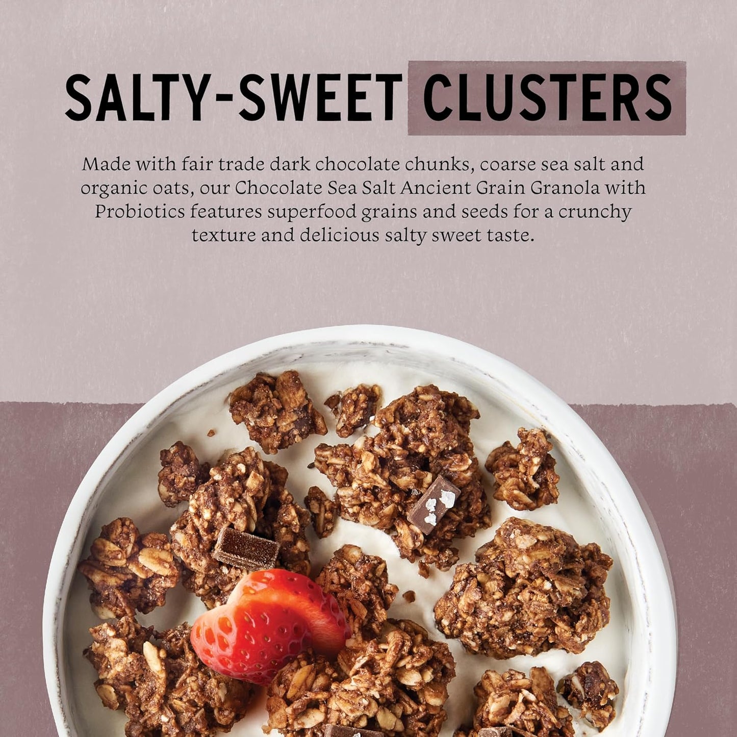 Purely Elizabeth Chocolate Sea Salt Probiotic Granola, 8 Oz, 6-Pack