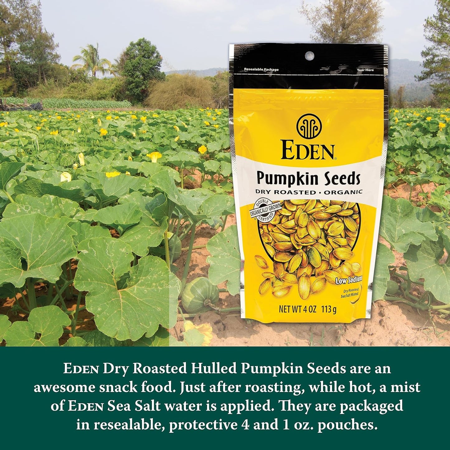 Eden Foods Dry Roasted Organic Pumpkin Seeds - 4 Oz. (Pack of 15)