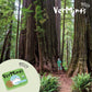 Vermints All-Natural Wintermint Breath Mints, Gluten-Free, Case of 6 (1.41 oz)
