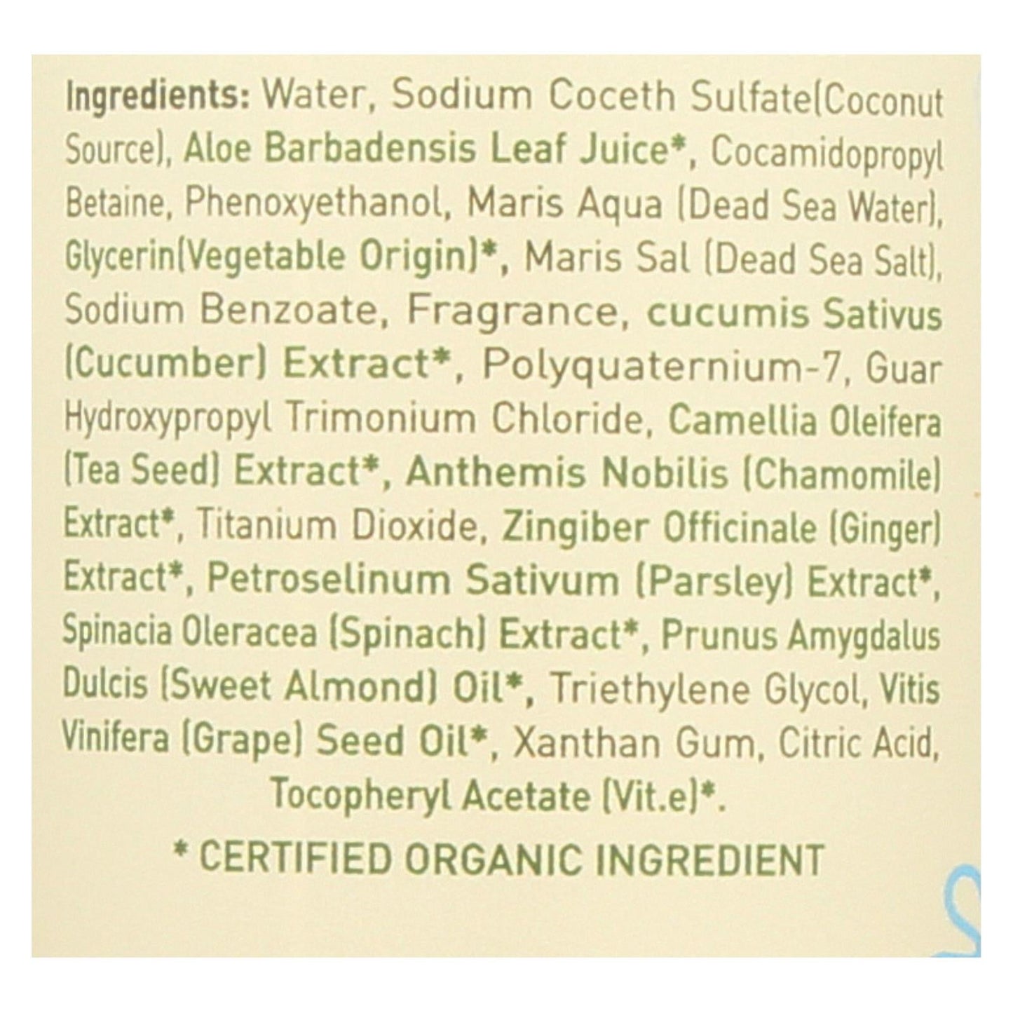Ecolove Green Vegetable Family Shampoo - 17.6 Fl Oz