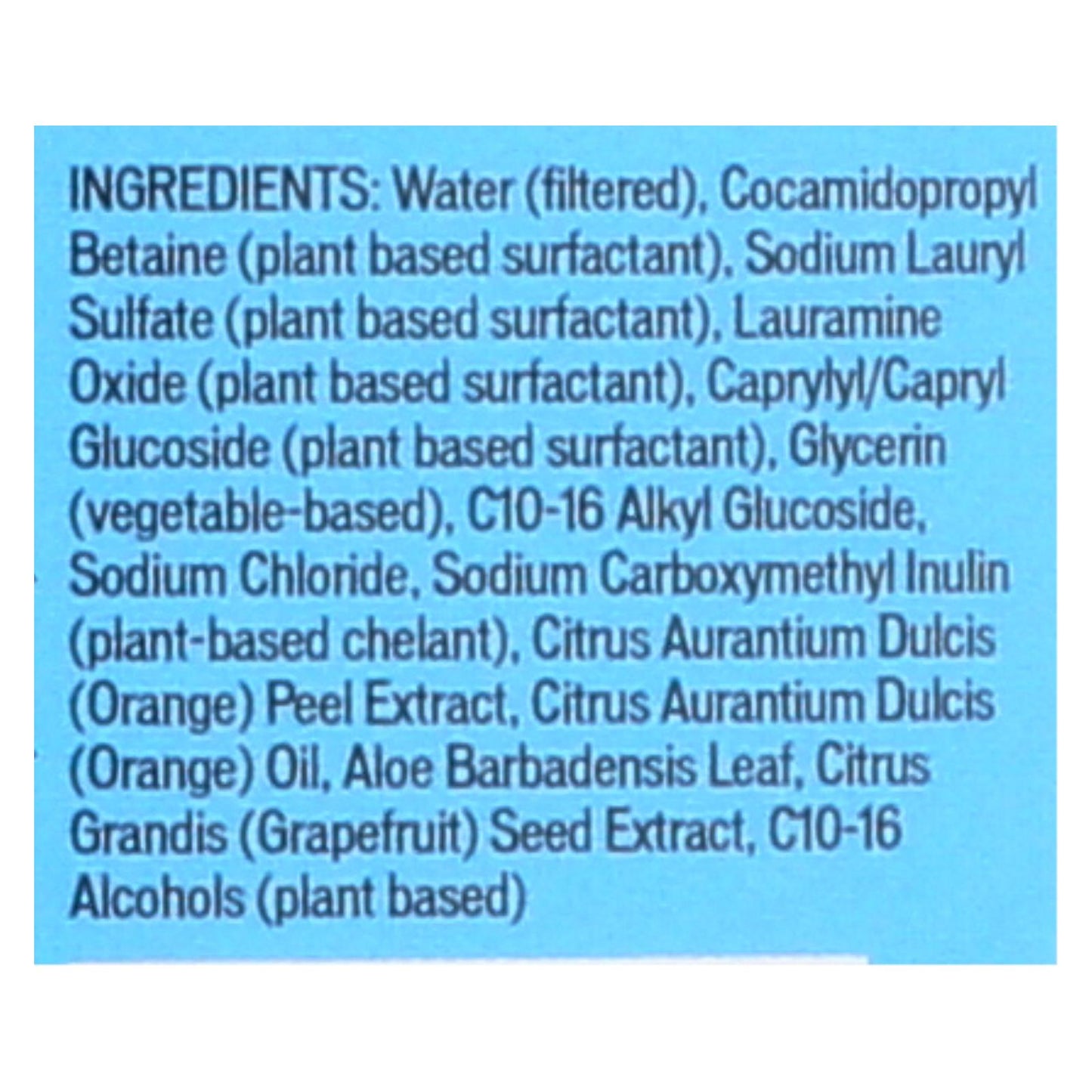 Biokleen Citrus Essence Hand Moisturizing Dish Liquid, 6-Pack (25 oz per bottle)