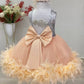 Anastasia Silver & Powder Party Dress