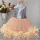 Anastasia Silver & Powder Party Dress