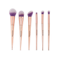 Brush Crush 8 PC Brush & Sponge Set