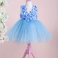 Barbara Baby Blue Party Dress