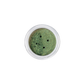 Enchanted Forest | Dragon Duochrome Mineral Pigment