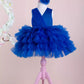 Emily Sax Blue Party Dress