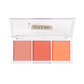 It's a Vibe | Admit One 3-Shade Blush Palette