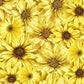Sunflower Collared Dress