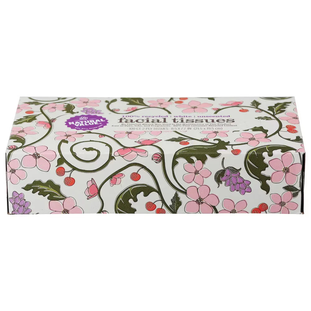Natural Value 2-Ply Facial Tissue - 100 Count Pack, 30-Pack Case