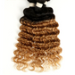 Ombre Brazilian Deep Wave Human Hair Bundles | Remy 2 Tone Color T1B/27#, T1B/30#, T1B/99J# (1, 3, or 4 Pcs)