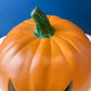 Halloween Lantern Grinning Pumpkin with Light. Fall Porch Window Decor. Home or Retail Celebration. Kids Room. Gift for Him or Her.