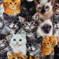 Realistic Cats Fit & Flare Dress