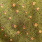 Acorn Collared Dress