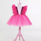 Irina Pink Party Dress