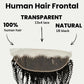 Jerry Curl 13x4 Transparent Lace Human Hair Frontal