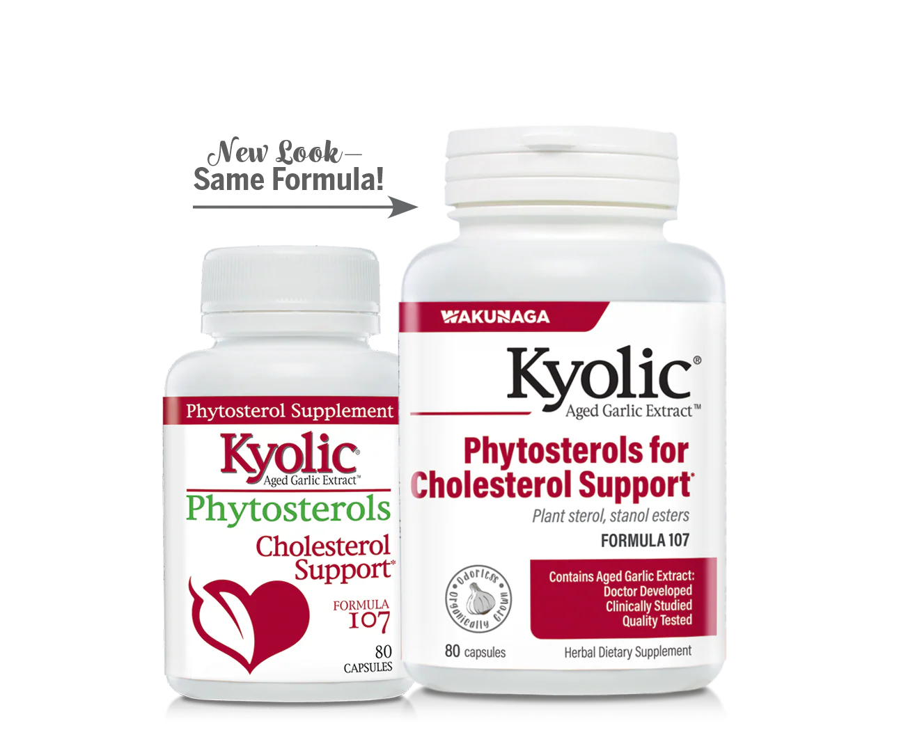 Kyolic Phytosterols Formula 107 Aged Garlic Extract - 80 Capsules