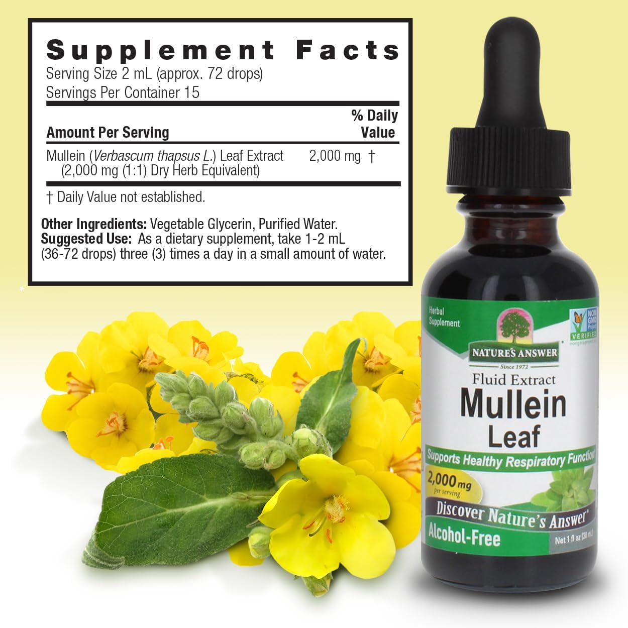 Nature's Answer Mullein Leaf Extract (Alcohol-Free) - Respiratory Support
