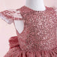 Nicole Pink Party Dress